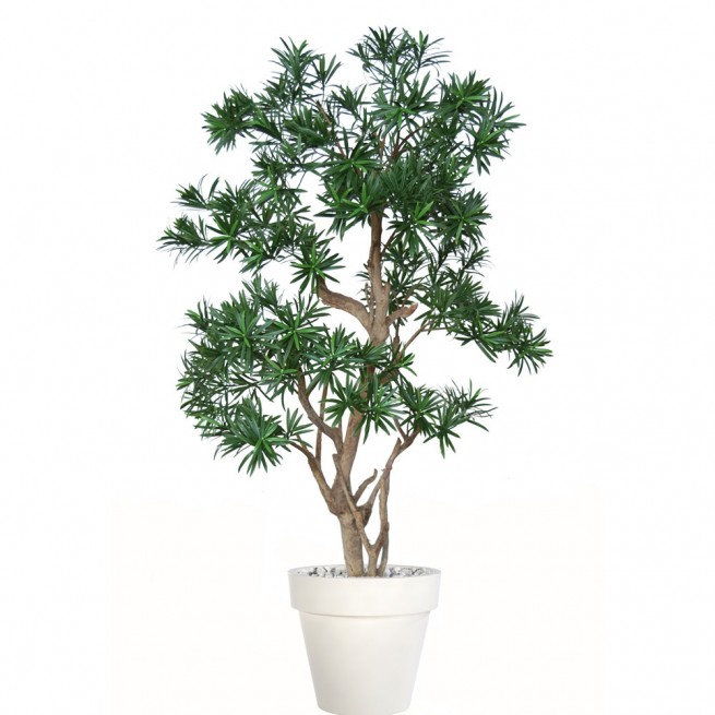 Planta semi-artificiala Ila, Podocarpus Stylish Green - 130 cm